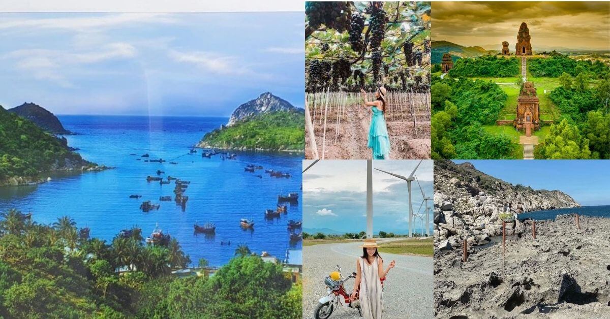 thuê xe du lịch vĩnh hy