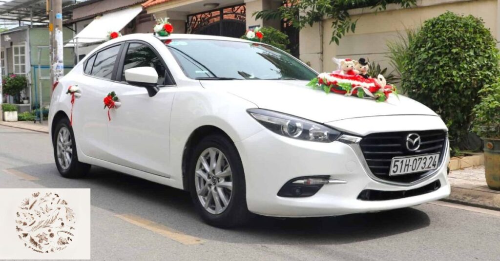 thuê xe hoa ninh thuận