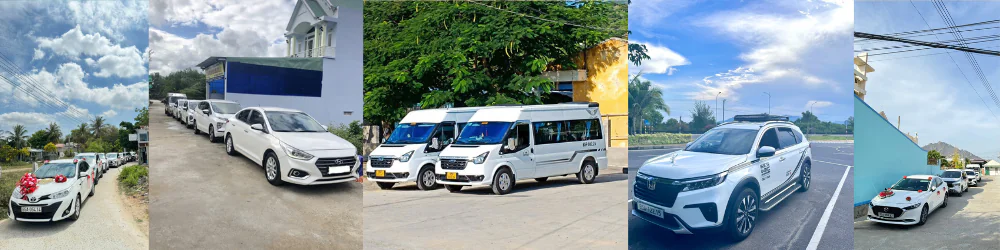 Trang chủ 8 m3