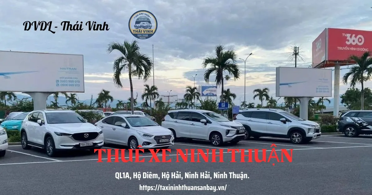 Dịch Vụ Xe Du Lịch Ninh Thuận 2 thuê xe ninh thuận