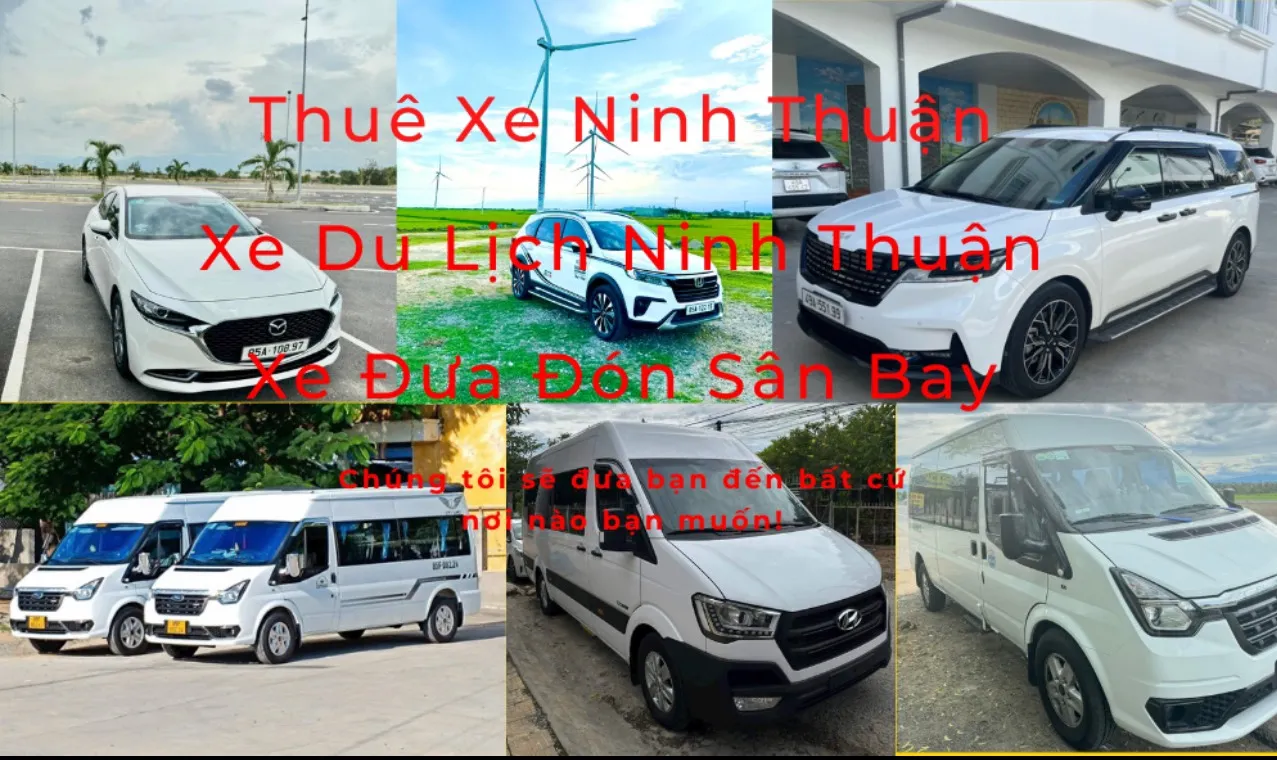 Lý Do Bạn Chọn Thuê Xe Ninh Thuận Uy Tín, Xe Mới - 07.9999.7288 1 thuê xe ninh thuận