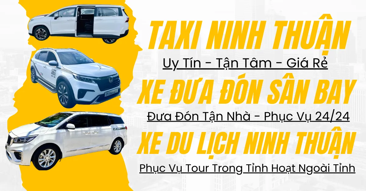 Xe Taxi Ninh Thuận 2 taxi ninh thuận