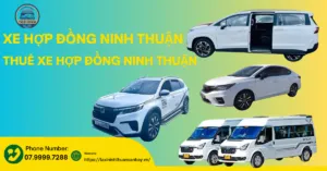 Xe Hợp Đồng Ninh Thuận: Lý Do Nên Chọn Xe Hợp Đồng Tại Ninh Thuận Và Những Điều Cần Biết 1 xe hợp đồng ninh thuận