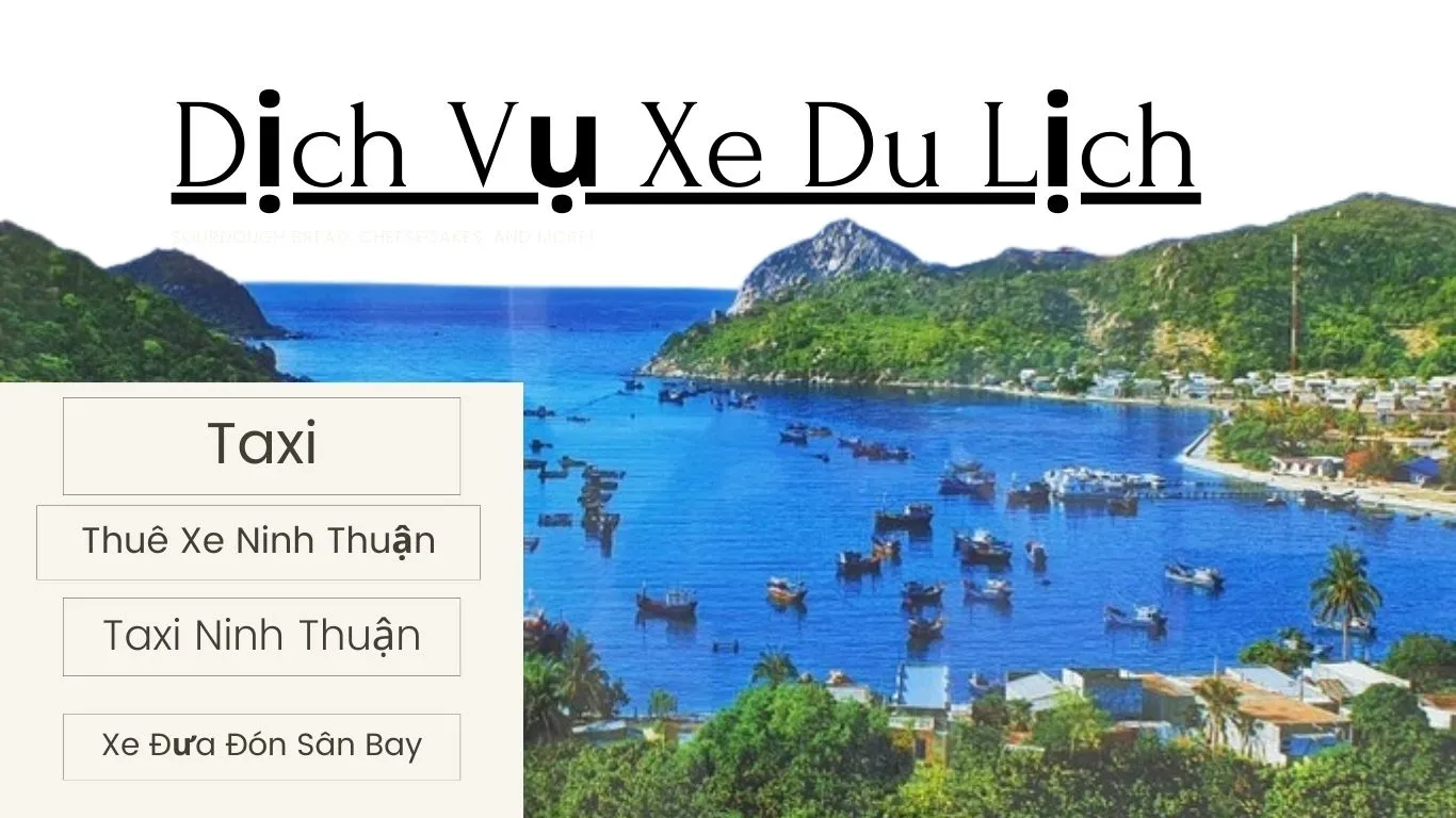 dịch vụ xe du lịch