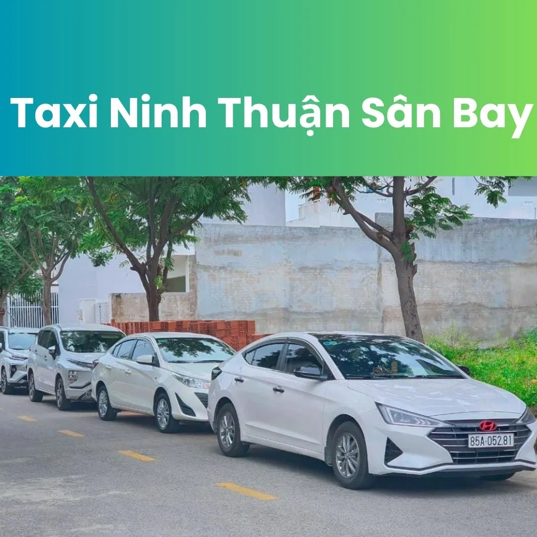 Dịch Vụ Taxi Ninh Thuận Sân Bay 2 taxi ninh thuận sân bay