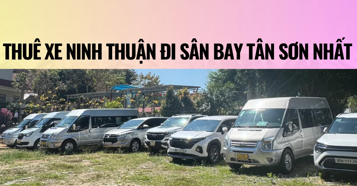 Thuê Xe Ninh Thuận Đi Sân Bay Tân Sơn Nhất 1 thuê xe ninh thuận đi sân bay tân sơn nhất