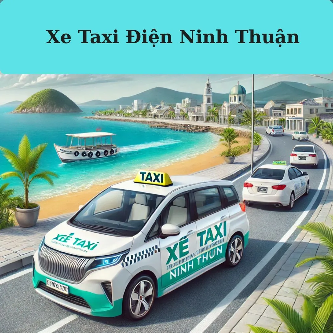 Xe Taxi Điện Ninh Thuận 1 xe taxi điện ninh thuận